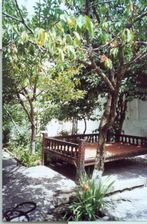 Courtyard with a carved wooden daybed under fruit trees